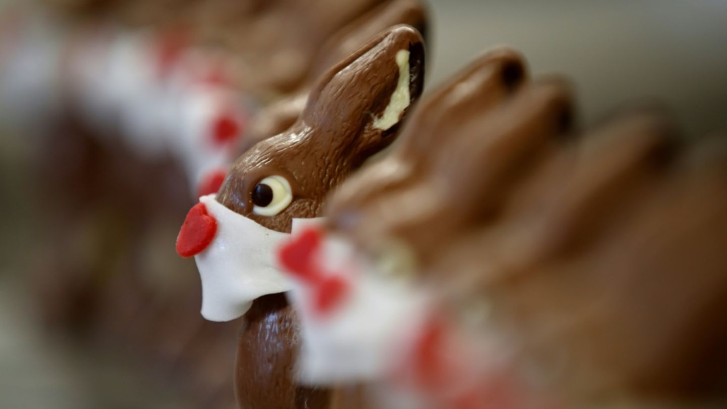 Schokohasen