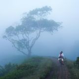 Sri Lanka mit seinen rund 22 Millionen Einwohnern exportiert vor allem Kleidung, Kaffee, Tee und Kautschuk. Auf die Waren aus dem Inselstaat schlagen die USA nun 44 Prozent Zoll auf