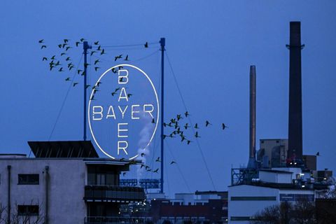 Bayer-Logo