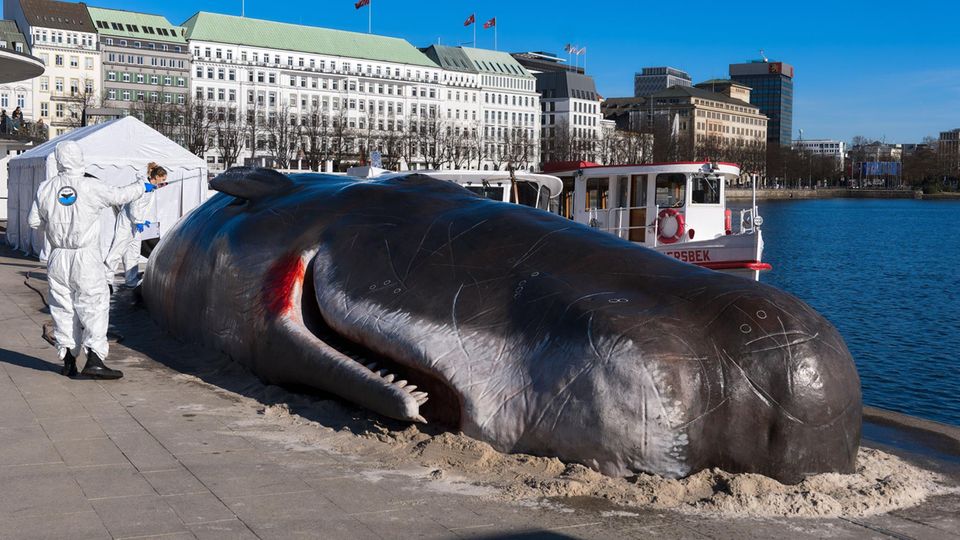 Eine meterlange Pottwal-Attrappe liegt am Hamburger Jungfernstieg