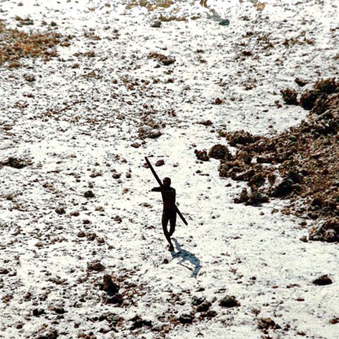 Ein Sentinelese schießt mit Pfeil und Bogen auf einen Helikopter, der nach dem Tsunami im Jahr 2004 über die Insel fliegt
