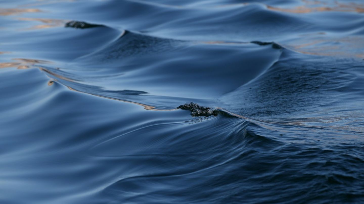 Wasseroberfläche