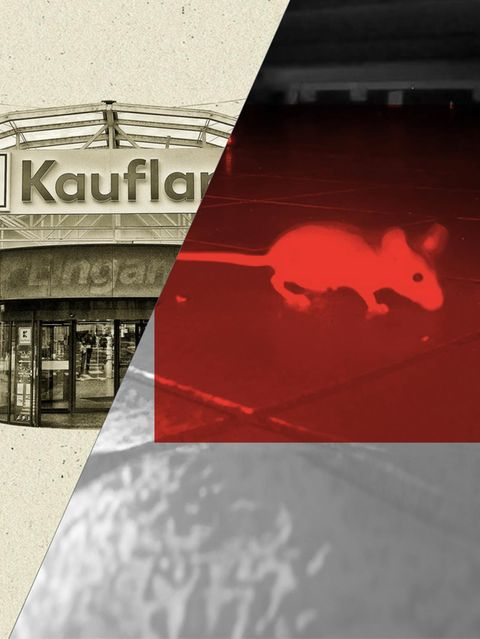 Eine Maus in einem Kaufland