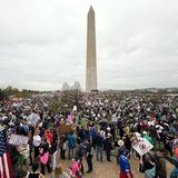 Proteste gegen Donald Trump