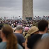 Proteste gegen Donald Trump