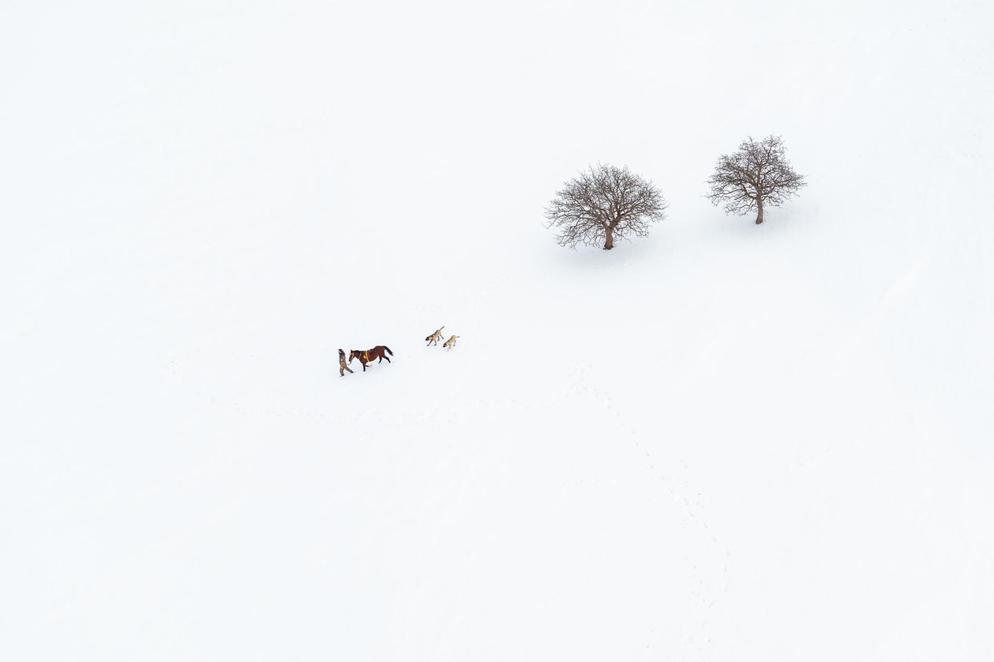 Schneelandschaft mit Mann, Pferd und zwei Hunden