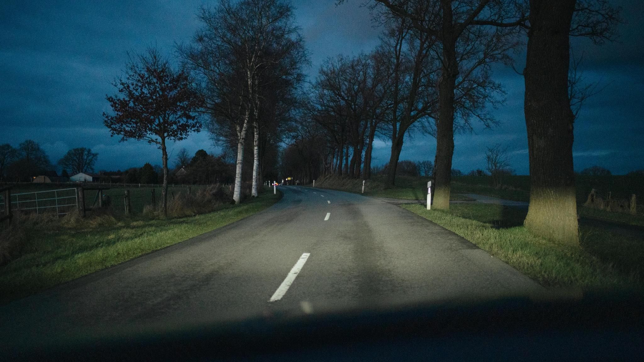 Landstraße mit Bäumen am Straßenrand in der Dämmerung