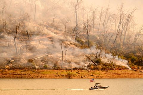 Der Klimawandel sorgt für zunehmende Wetterextreme wie Waldbrände