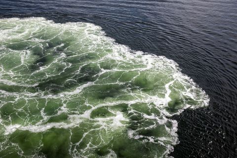 Meerwasser