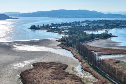 Seit Jahresbeginn sinkt der Wasserpegel am Bodensee – und fällt beinahe auf ein Rekordtief. Was für Auswirkungen das auf Menschen und die Tierwelt hat, sehen Sie im Video.
