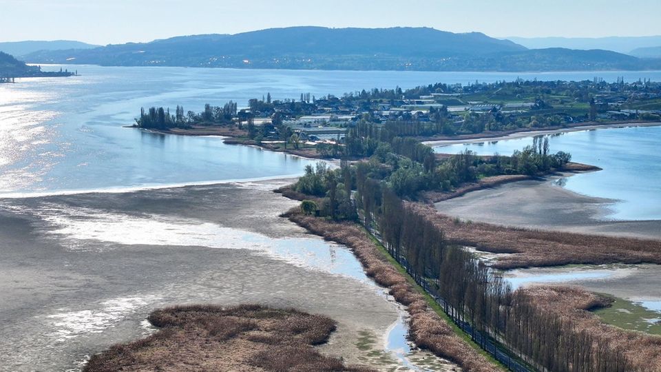 Tierwelt am Bodensee in Gefahr – Das sind die Konsequenzen für die Schiffsfahrt Seit Jahresbeginn sinkt der Wasserpegel am Bodensee – und fällt beinahe auf ein Rekordtief. Was für Auswirkungen das auf Menschen und die Tierwelt hat, sehen Sie im Video.