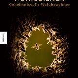 Cover zu Honigbienen / Knesebeck Verlag