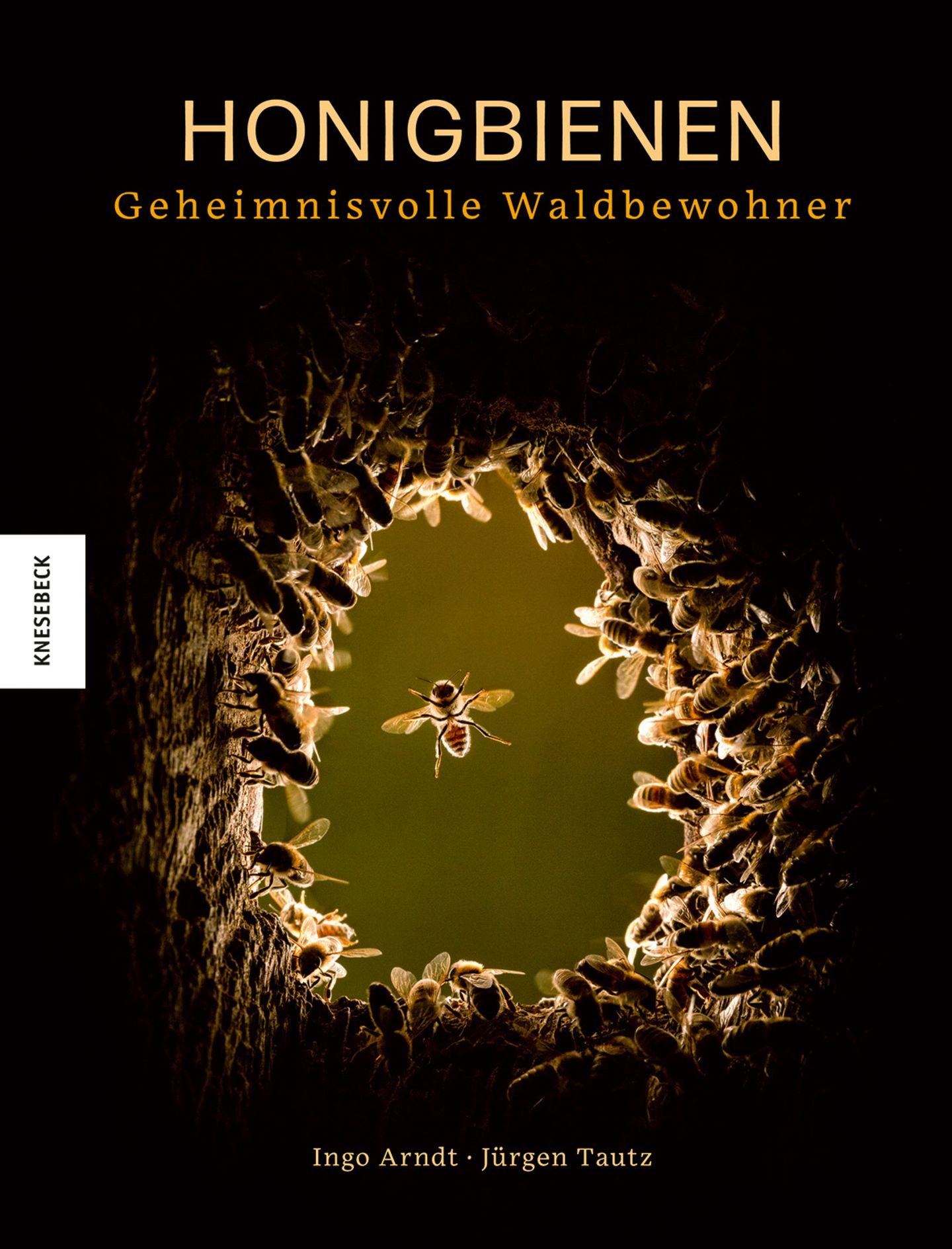 Cover zu Honigbienen / Knesebeck Verlag