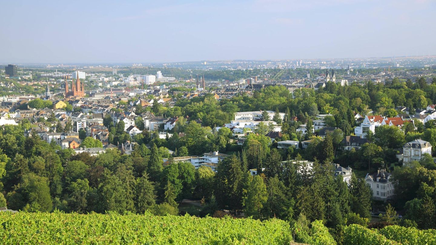#5 Wiesbaden Eigentumswohnung oder Reihenhaus? Egal: Bei beiden Immobilientypen sahen sich Käufer in Wiesbaden laut "Haus.de" mit den bundesweit fünfthöchsten Preisen konfrontiert. Für ein Reihenhaus wurden den Angaben zufolge im Durchschnitt 580.000 Euro verlangt (480.000 bis 660.000 Euro).