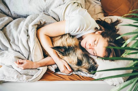 Hund im Bett: Frau schläft mit Hund im Arm