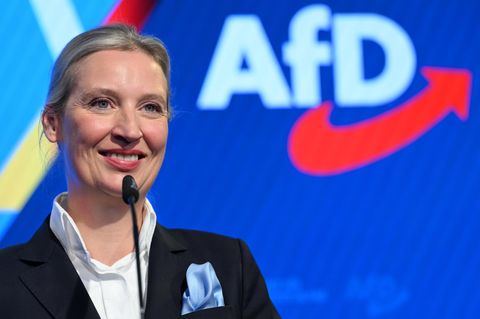 Alice Weidel, Co-Vorsitzende der AfD
