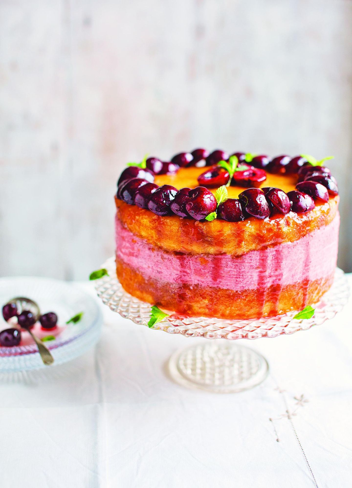 Rezepte: Geeiste Kirsch-Biskuit-Torte (Torta gelata alle ciliege)   Für 8 Personen Für die Biskuitböden Butter für die Form 3 Bio-Eier (Größe M) 150 g feinster Backzucker 1 Vanilleschote, längs halbiert und Mark herausgeschabt 1 Prise Salz 150 g Mehl, gesiebt 1 ½ TL Backpulver 150 ml Maraschino (Kirschlikör) Für die Füllung 2 Gelatineblätter 750 g reife Süßkirschen, entsteint 3 EL Weißwein Abrieb von ½ unbehandelten Bio-Zitrone 85 g feinster Backzucker 300 ml Crème double oder Schlagsahne, geschlagen Zum Garnieren 7 EL Aprikosenkonfitüre 150 g Kirschen, entsteint und halbiert einige kleine frische Minzblätter   Dieses grandiose Dessert ist eine Kreuzung aus semi-freddo (Halbgefrorenes) und Mousse – perfekt für Frühling oder Sommer. Die Zubereitung ist simpel, der Anblick fantastisch. Die Torte kann im Voraus zubereitet und 30–40 Minuten vor dem Servieren aus dem Tiefkühler geholt werden. Den Backofen auf 180 °C vorheizen. Zwei runde, flache Kuchenformen (à 20 cm Ø) leicht einfetten und mit Backpapier auslegen. Den Boden einer Springform (20 cm Ø, 10 cm hoch) mit Backpapier belegen. Die Gelatineblätter in kaltem Wasser einweichen. Für den Biskuit Eier und Zucker in einer Schüssel schaumig-hell aufschlagen. Vanillemark, Salz, Mehl und Backpulver unterrühren. Auf die flachen Kuchenformen verteilen und 15–20 Minuten backen. Auf Kuchengitter stürzen und abkühlen lassen. Dann für die Füllung Kirschen, Wein, Zitronenabrieb und Zucker in einem Topf bei mittlerer Hitze unter Rühren garen, bis die Früchte sehr weich sind und die Flüssigkeit verdampft ist. Vom Herd nehmen und glatt pürieren. Wasser aus der Gelatine drücken und unter Rühren in der Kirschmischung auflösen. Abkühlen lassen und die Crème double unterheben. Einen Biskuitboden mit der glatten Seite nach unten in die hohe Springform legen, die Hälfte des Maraschinos darüberträufeln und mit der Füllung bedecken. Den anderen Biskuit mit der glatten Seite nach oben darauflegen, leicht andrücken und mit dem restlichen Maraschino beträufeln. Mit Frischhaltefolie abdecken und mindestens 2 Stunden in den Tiefkühler stellen. Die Torte vorsichtig aus der Form lösen und auf einen Servierteller setzen. Die Konfitüre durch ein Sieb streichen und für die Glasur leicht erhitzen. Auf der Oberseite der Torte verteilen und mit Kirschen und Minze dekorieren. Sofort servieren oder im Kühlschrank aufbewahren Geeiste Kirsch-Biskuit-Torte (Torta gelata alle ciliege)     Für 8 Personen  Für die Biskuitböden  Butter für die Form  3 Bio-Eier (Größe M)  150 g feinster Backzucker  1 Vanilleschote, längs halbiert und Mark herausgeschabt  1 Prise Salz  150 g Mehl, gesiebt  1 ½ TL Backpulver  150 ml Maraschino (Kirschlikör)  Für die Füllung  2 Gelatineblätter  750 g reife Süßkirschen, entsteint  3 EL Weißwein  Abrieb von ½ unbehandelten Bio-Zitrone  85 g feinster Backzucker  300 ml Crème double oder Schlagsahne, geschlagen  Zum Garnieren  7 EL Aprikosenkonfitüre  150 g Kirschen, entsteint und halbiert  einige kleine frische Minzblätter     Dieses grandiose Dessert ist eine Kreuzung aus semi-freddo (Halbgefrorenes) und Mousse – perfekt für Frühling oder Sommer. Die Zubereitung ist simpel, der Anblick fantastisch. Die Torte kann im Voraus zubereitet und 30–40 Minuten vor dem Servieren aus dem Tiefkühler geholt werden.  Den Backofen auf 180 °C vorheizen. Zwei runde, flache Kuchenformen (à 20 cm Ø) leicht einfetten und mit Backpapier auslegen. Den Boden einer Springform (20 cm Ø, 10 cm hoch) mit Backpapier belegen. Die Gelatineblätter in kaltem Wasser einweichen.  Für den Biskuit Eier und Zucker in einer Schüssel schaumig-hell aufschlagen. Vanillemark, Salz, Mehl und Backpulver unterrühren. Auf die flachen Kuchenformen verteilen und 15–20 Minuten backen. Auf Kuchengitter stürzen und abkühlen lassen.  Dann für die Füllung Kirschen, Wein, Zitronenabrieb und Zucker in einem Topf bei mittlerer Hitze unter Rühren garen, bis die Früchte sehr weich sind und die Flüssigkeit verdampft ist. Vom Herd nehmen und glatt pürieren. Wasser aus der Gelatine drücken und unter Rühren in der Kirschmischung auflösen. Abkühlen lassen und die Crème double unterheben.  Einen Biskuitboden mit der glatten Seite nach unten in die hohe Springform legen, die Hälfte des Maraschinos darüberträufeln und mit der Füllung bedecken. Den anderen Biskuit mit der glatten Seite nach oben darauflegen, leicht andrücken und mit dem restlichen Maraschino beträufeln. Mit Frischhaltefolie abdecken und mindestens 2 Stunden in den Tiefkühler stellen.  Die Torte vorsichtig aus der Form lösen und auf einen Servierteller setzen. Die Konfitüre durch ein Sieb streichen und für die Glasur leicht erhitzen. Auf der Oberseite der Torte verteilen und mit Kirschen und Minze dekorieren. Sofort servieren oder im Kühlschrank aufbewahren