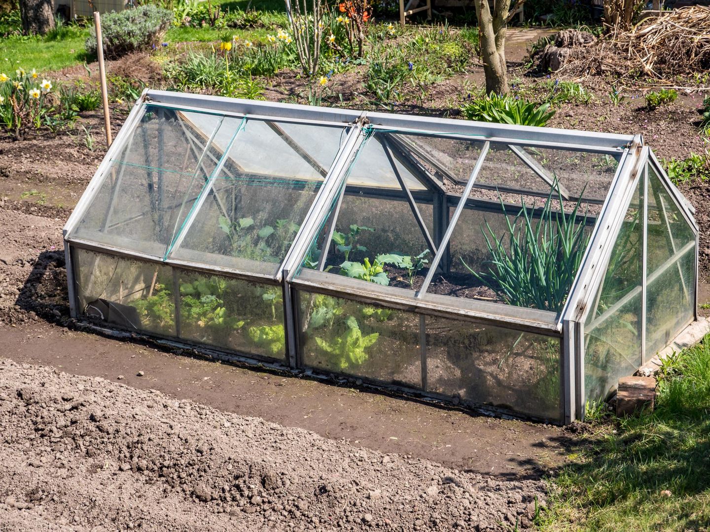 Gewächshausheizung: Die Vor- und Nachteile im Überblick | STERN.de