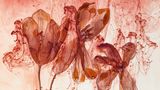 Foto aus der Reihe Fairies von athrin Linkersdorff