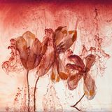 Foto aus der Reihe Fairies von athrin Linkersdorff