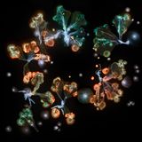 Foto aus der Reihe Microverse von Kathrin Linkersdorff