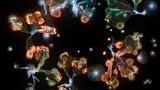 Foto aus der Reihe Microverse von Kathrin Linkersdorff