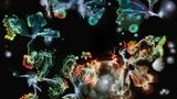 Foto aus der Reihe Microverse von Kathrin Linkersdorff