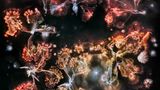 Foto aus der Reihe Microverse von Kathrin Linkersdorff