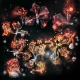 Foto aus der Reihe Microverse von Kathrin Linkersdorff