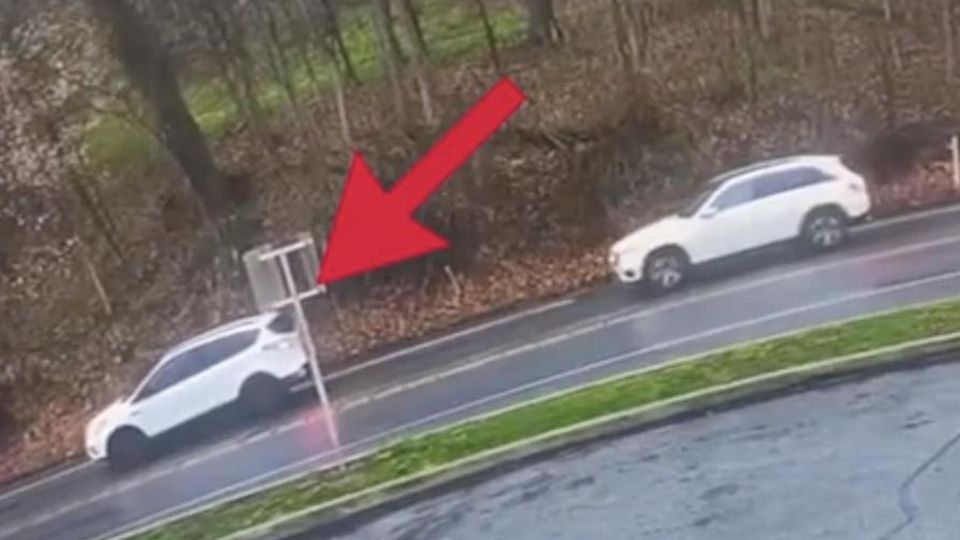 Ein weißer SUV steht neben einem Waldabschnitt Sekunden bevor ein stürzender Baum ihn zertrümmert