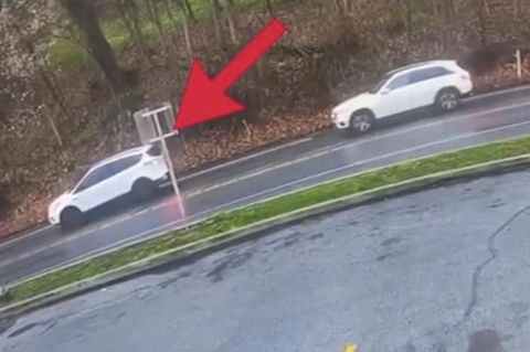Ein weißer SUV steht neben einem Waldabschnitt Sekunden bevor ein stürzender Baum ihn zertrümmert