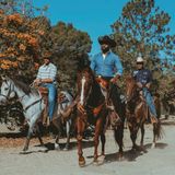 Große Rinderherden in Schach halten – das schafft man nicht allein. Und so sind nicht nur die Zusammenarbeit von Pferd und Reiter wichtig, sondern auch das Miteinander der menschlichen Kollegen