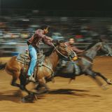 Auch bei wildem Tempo immer die Kontrolle behalten, schnell reagieren, plötzliche Richtungswechsel oder Stopps ausführen – das sieht nicht nur beeindruckend aus, sondern erfordert auch langes, intensives Training von Mensch und Tier