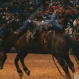 Wenn man derart eins mit seinem Pferd ist, kann man schon mal damit angeben: Ein Cowboy zeigt seine Tricks bei einer Rodeo-Show
