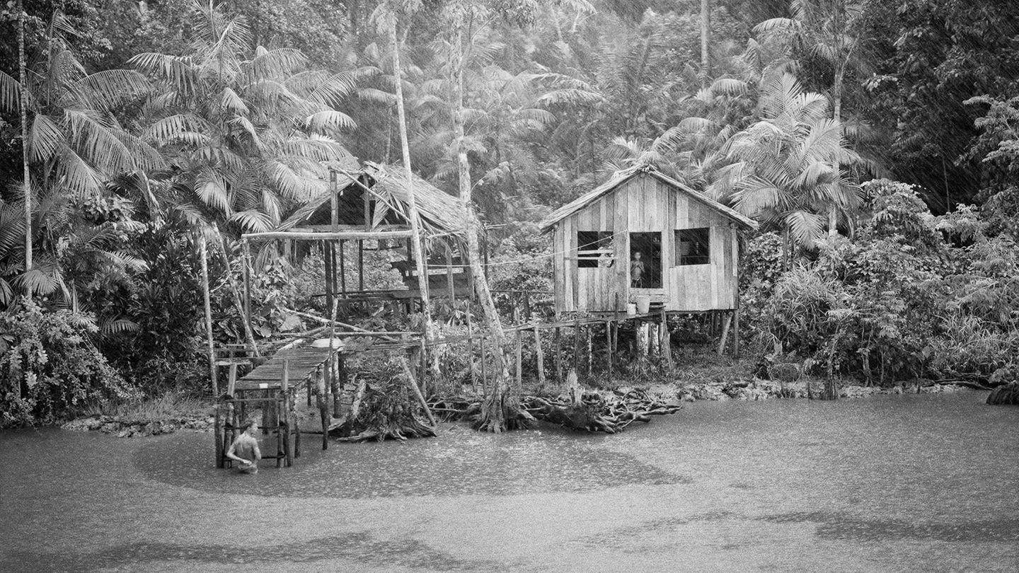 Amazonas