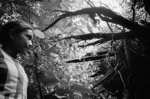 Amazonas