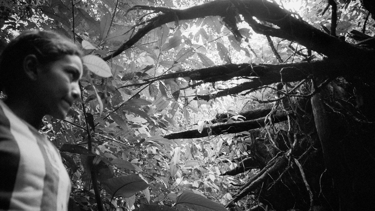 Amazonas Amazonas