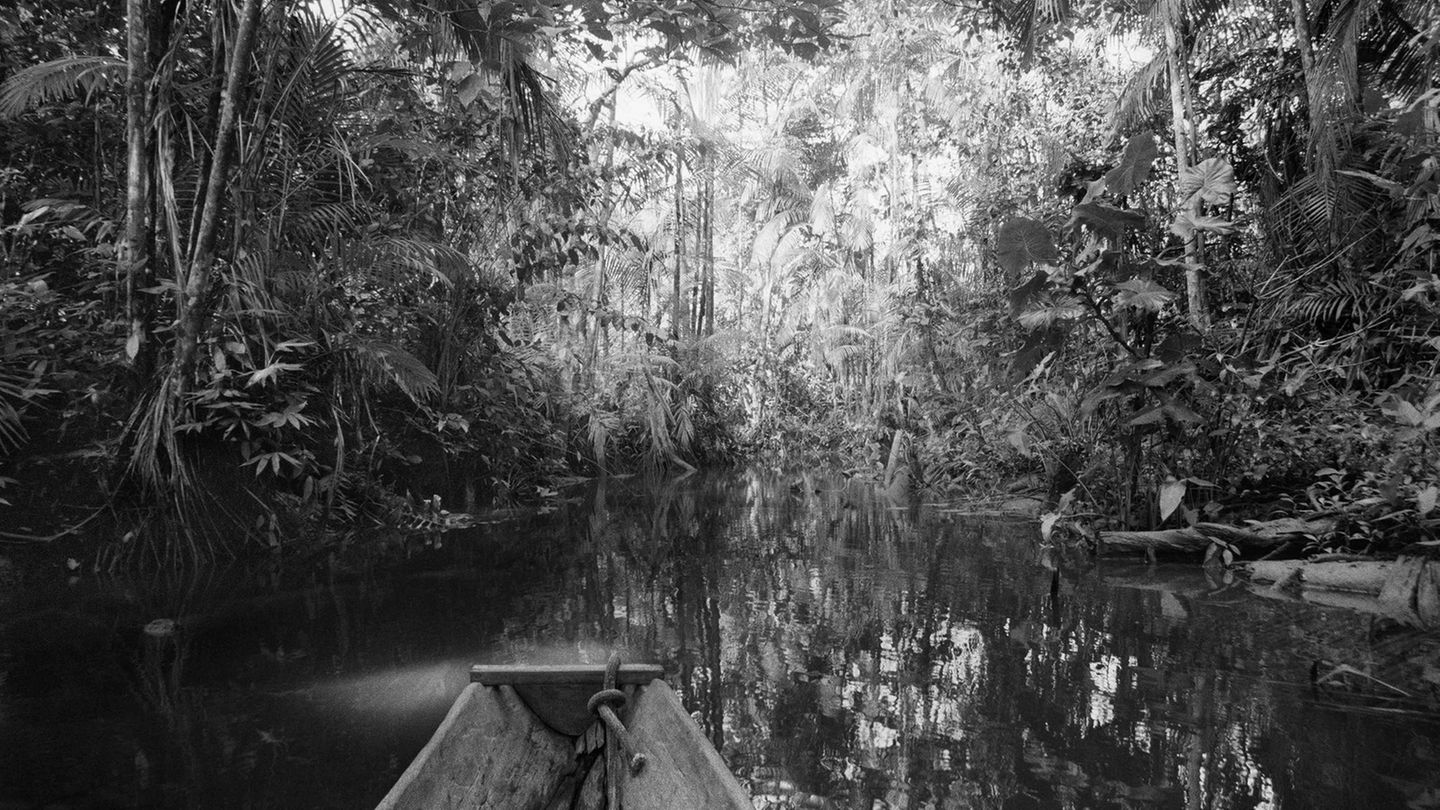 Amazonas Amazonas