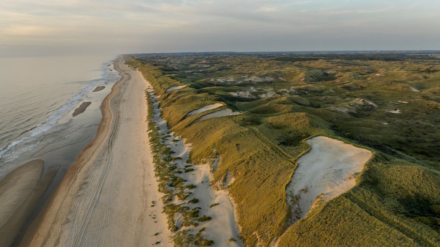 Der Strand in Egmond von der Nordsee Der Strand in Egmond von der Nordsee