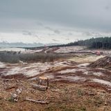 Ein Kahlschlag bei Schoorl