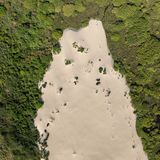 Eine Wanderdüne im Naturschutzgebiet