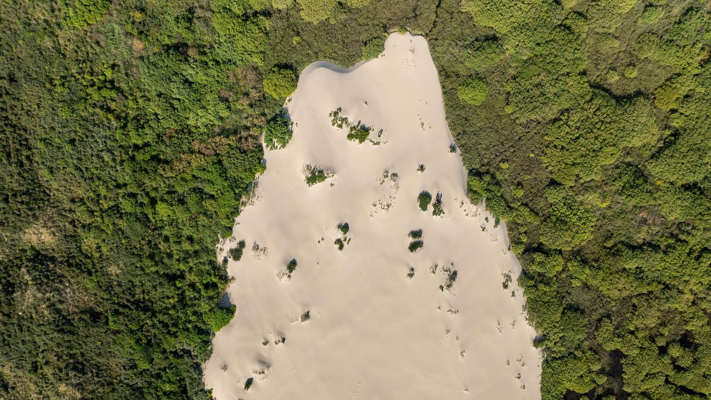 Eine Wanderdüne im Naturschutzgebiet