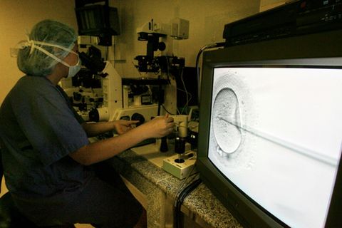 In-Vitro-Befruchtung