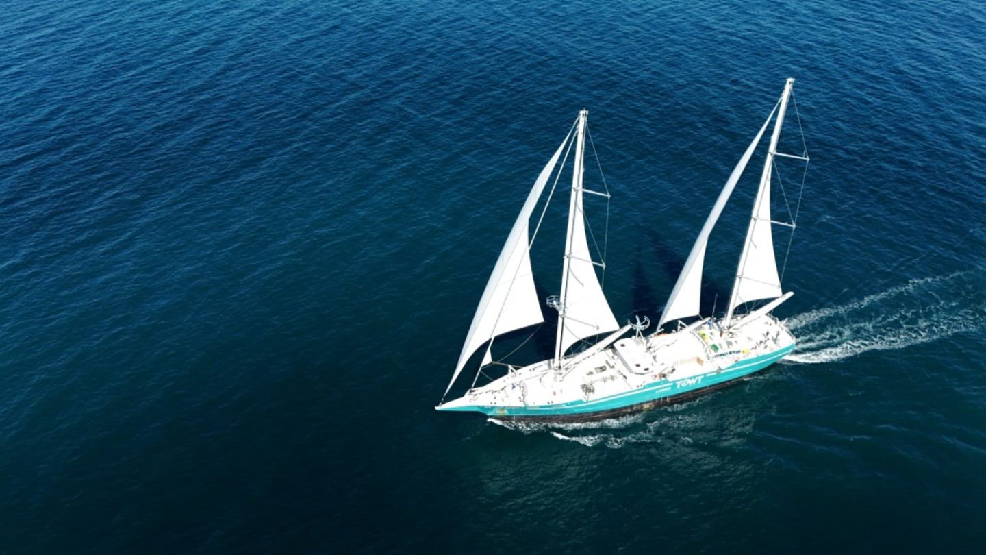 Frachtschiff "Artemis" der französischen Reederei TOWT