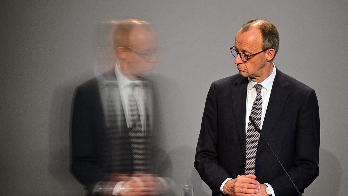Friedrich Merz  - und sein Spiegelbild