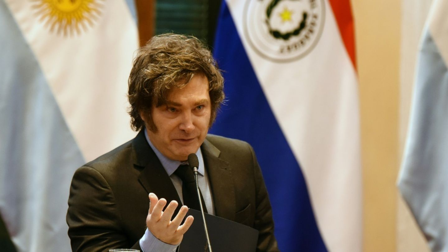 Argentinischer Präsident Javier Milei