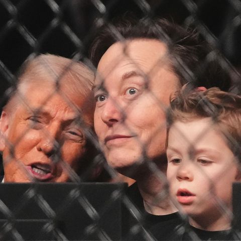 Beste Sicht auf den Käfig: Donald Trump, Elon Musk und dessen 4-jähriger Sohn sitzen in der ersten Reihe der Kampfveranstaltung