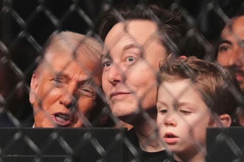 Beste Sicht auf den Käfig: Donald Trump, Elon Musk und dessen 4-jähriger Sohn sitzen in der ersten Reihe der Kampfveranstaltung