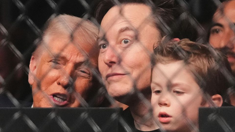 Gemeinsam mit Trump: Elon Musk besucht UFC-Käfigkampf – und bringt vierjährigen Sohn mit