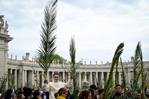 Palmwedel auf dem Petersplatz